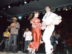 Invité à danser sur scène pendant le concert de Los Van Van, Lyon (France) 2004