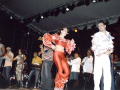 Invité à danser sur scène pendant le concert de Los Van Van, Lyon (France) 2004