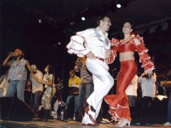 Invité à danser sur scène pendant le concert de Los Van Van, Lyon (France) 2004