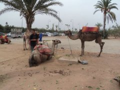 Marrakech (Maroc)