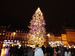 Strasbourg (France)