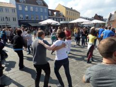 Stage et visite de Roskilde (Danemark)