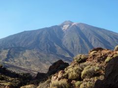 Tenerife (Îles Canaries)